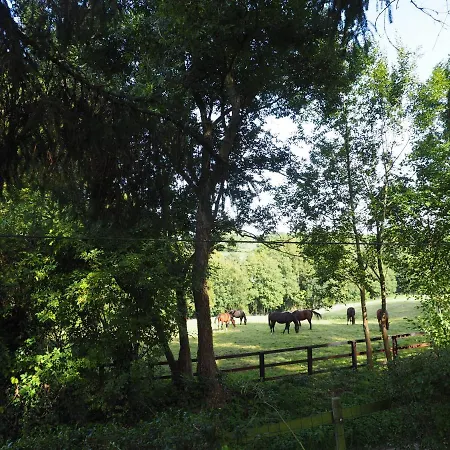 Cour Tholmer Nocleg ze śniadaniem