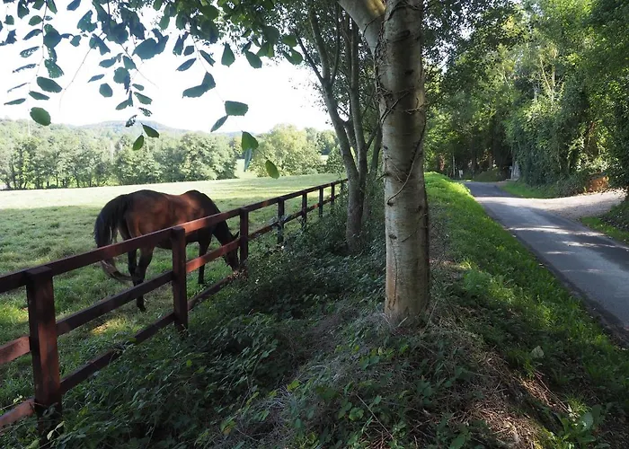 Bed & Breakfast Cour Tholmer Equemauville