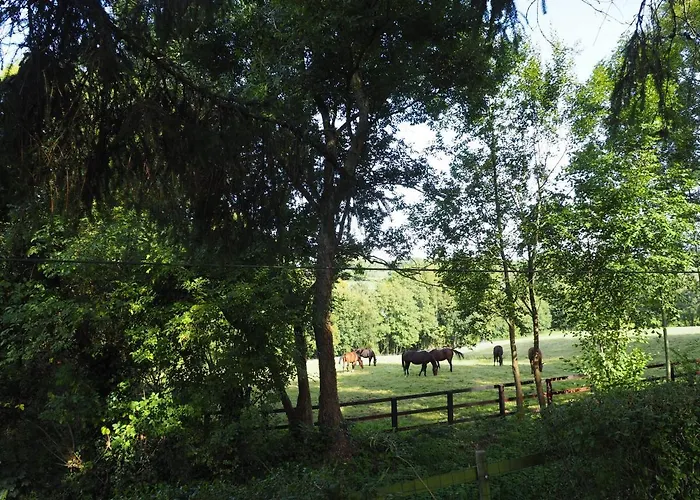 Cour Tholmer Bed & Breakfast